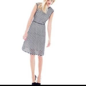 J Crew Fit and Flare dress Punched out polk a dot